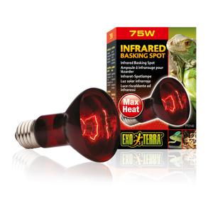 33-pt2142-terrarium-lamp-exo-terra-infrared-basking-spot-75w-red-6-5x6-5x10-cm