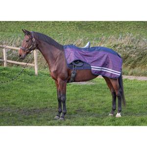 32206703-dress-blues-waterproof-fleece-horse-rug-harry-s-horse-wi24-dress-blues