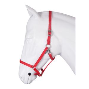 180195-30-halter-for-horse-base-horka-red