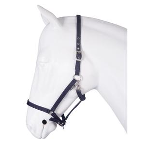 180195-6-halter-for-horse-base-horka-blue