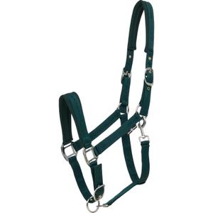 50439020117-halter-for-horse-horseguard-diya-2-0-ponderosa-pine