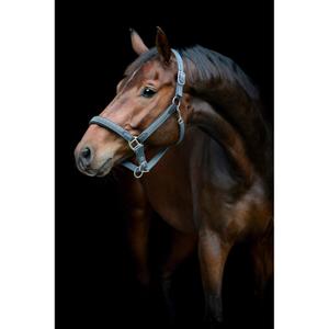 product/h/o/horseguard-506235018-asphalt-3.jpg
