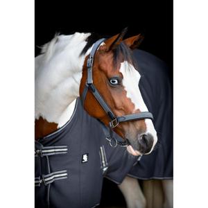 product/h/o/horseguard-506235018-asphalt-4.jpg