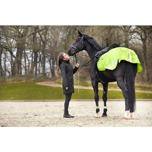 product/h/o/horseguard_502552007_yellow_2.jpg