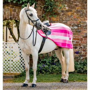 aehrrn-vrkz-la-hindquarters-cover-horseware-newmarket-witney-pink
