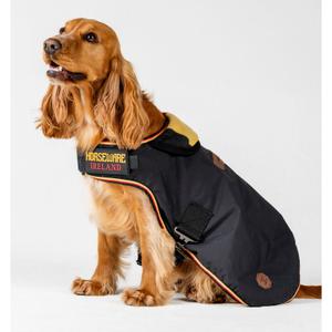 rrhw10-vrk0-ys-dog-coat-horseware-newmarket-witney-gold