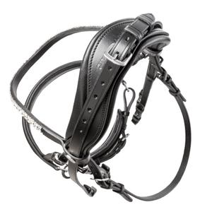 product/k/a/kavalkade_0193081250202_schwarz_2.jpg