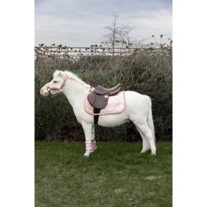 product/k/e/kentucky-horsewear-42735-50-p-soft-rose-4.jpg