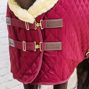 product/k/e/kentucky-horsewear-52101-17-125-bordeaux-4.jpg
