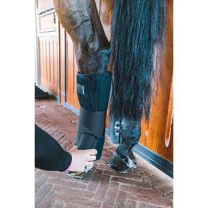 42119-01-50x50-resting-belts-for-horses-kentucky-black-50x50-cm