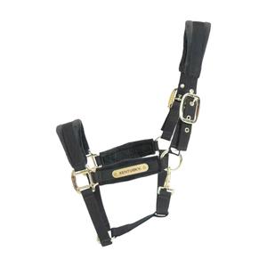 42558-01-p-halter-for-horse-kentucky-velvet-black