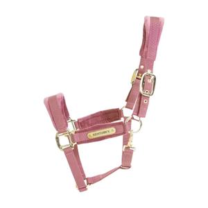 42558-10-p-halter-for-horse-kentucky-velvet-antique-pink
