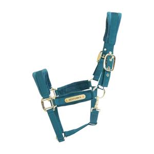 42558-71-p-halter-for-horse-kentucky-velvet-emerald