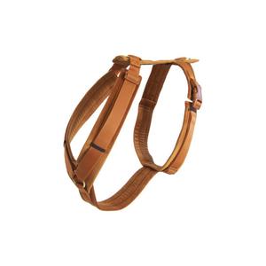 42640-45-active-dog-harness-kentucky-velvet-orange