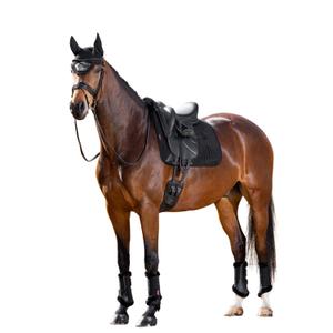 product/l/e/lemieux_it04876004_black-noir_2.jpg