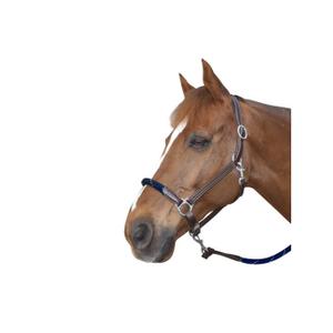 119522-marron-marron-leather-halter-for-horse-with-reins-canter-brown-brown