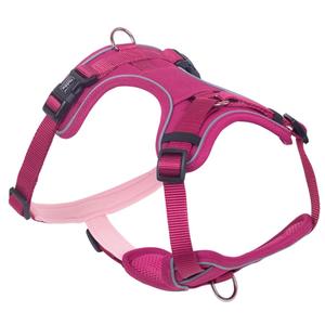 80410-64-comfort-harness-for-dogs-nobby-pet-mailo-violet-xl