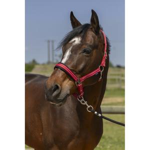 510246103-4-line-halter-norton-red