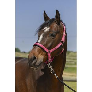 510246006-4-line-halter-norton-antique-pink