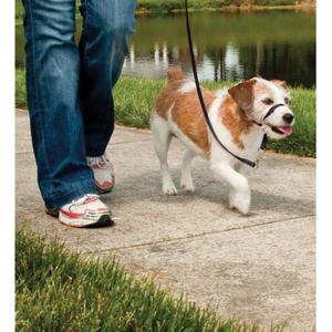 product/p/e/petsafe_cy3600_2.jpg