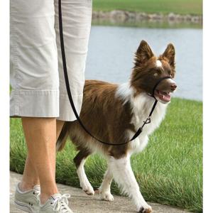 product/p/e/petsafe_cy3600_3.jpg