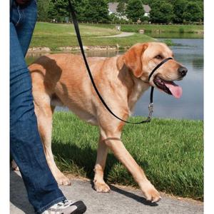 product/p/e/petsafe_cy3600_4.jpg