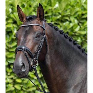 8013-c-8013-xf-anatomical-combination-snaffle-bridle-premier-equine-stellazzio-black