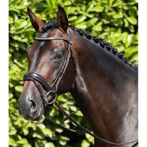 8013-c-8013-xf-anatomical-combination-snaffle-bridle-premier-equine-stellazzio-dark-brown