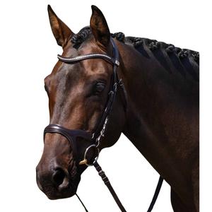 product/p/r/premier-equine_8127cbrw_brown_1.jpg