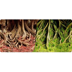 rp877840-poster-2-faces-1-roll-of-15-meters-height-60-reptiles-planet-amazonian-tree-roots-red-green-15-m