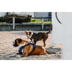 product/r/i/riding-world_409059001_marine_4.jpg