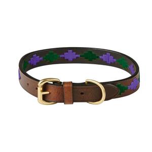 1001699015-leather-dog-collar-weatherbeeta-polo-shirt-beaufort-brown-purple-teal